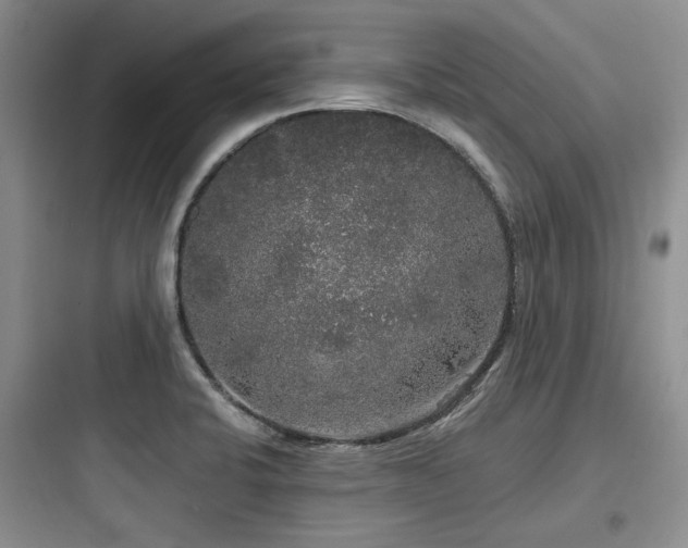 X0000097991424200803241331