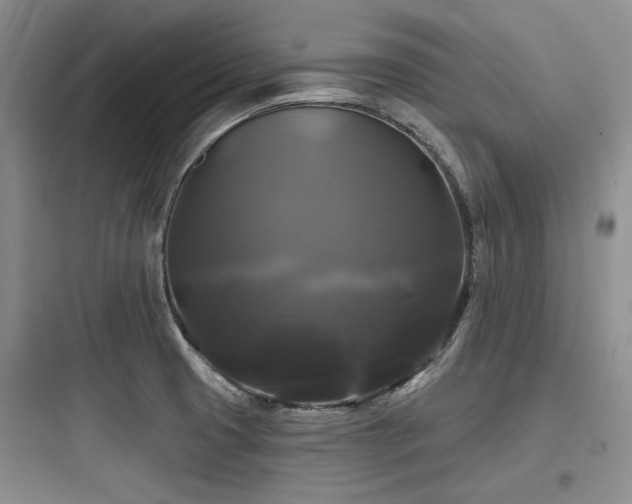 X0000097991425200803241331