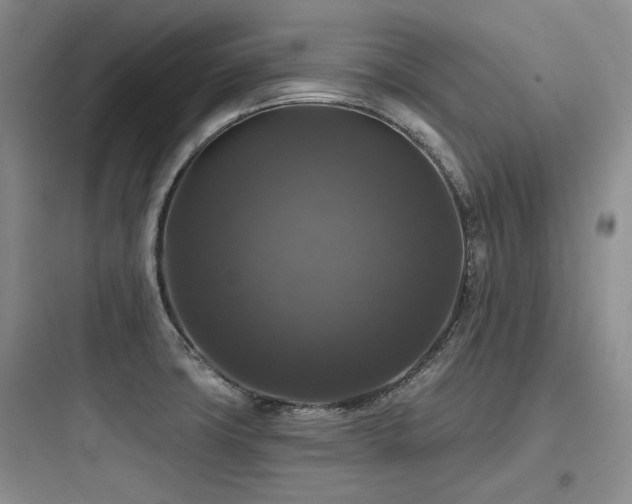 X0000097991427200803241331