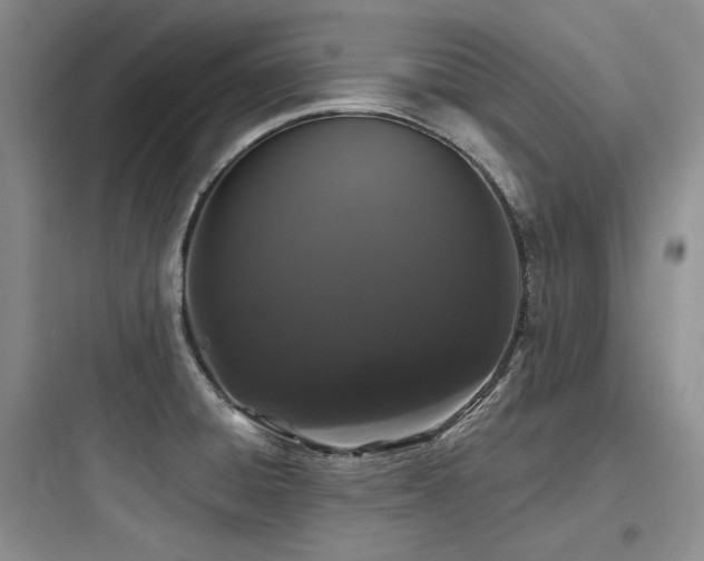 X0000097991428200803241331