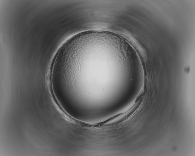 X0000097991432200803241331