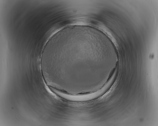 X0000097991433200803241331