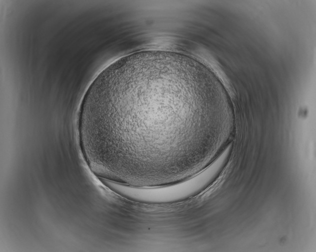 X0000097991434200803241331