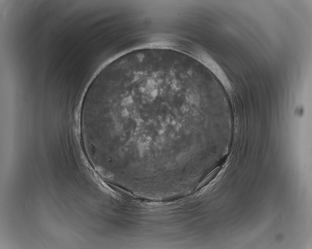 X0000097991436200803241331