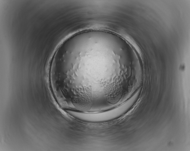 X0000097991437200803241331