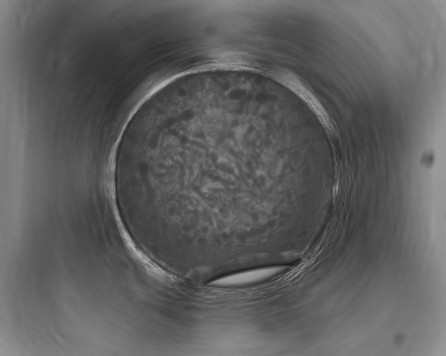 X0000097991439200803241331
