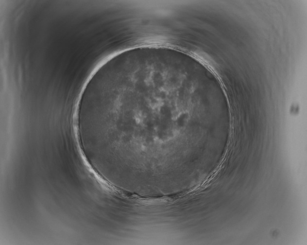 X0000097991440200803241331