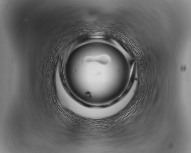 X0000097991441200803241331