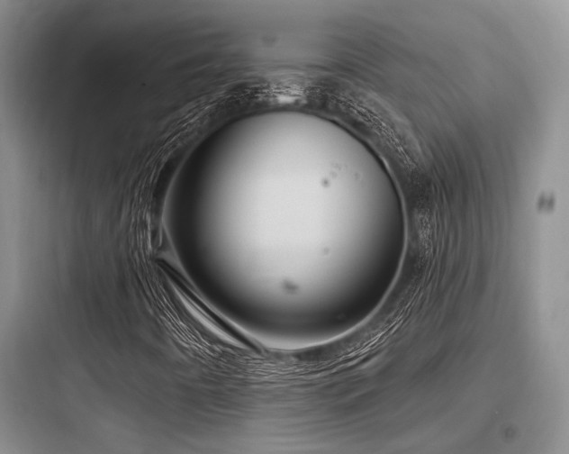 X0000097991442200803241331