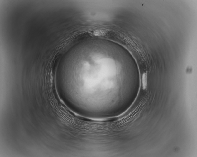 X0000097991443200803241331
