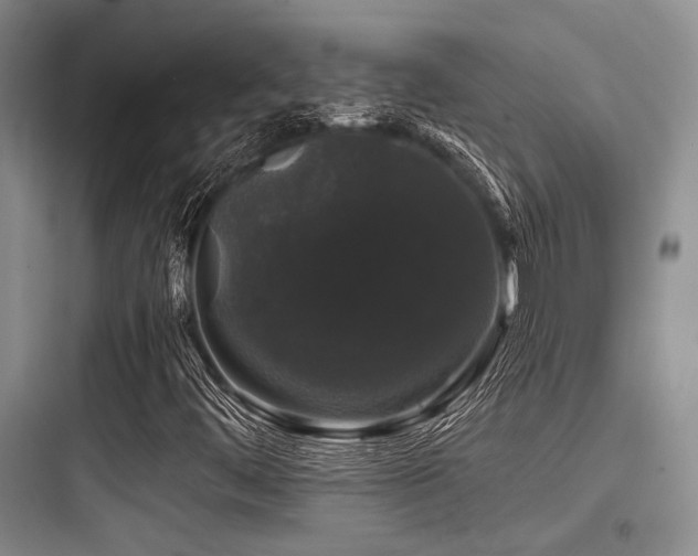X0000097991444200803241331