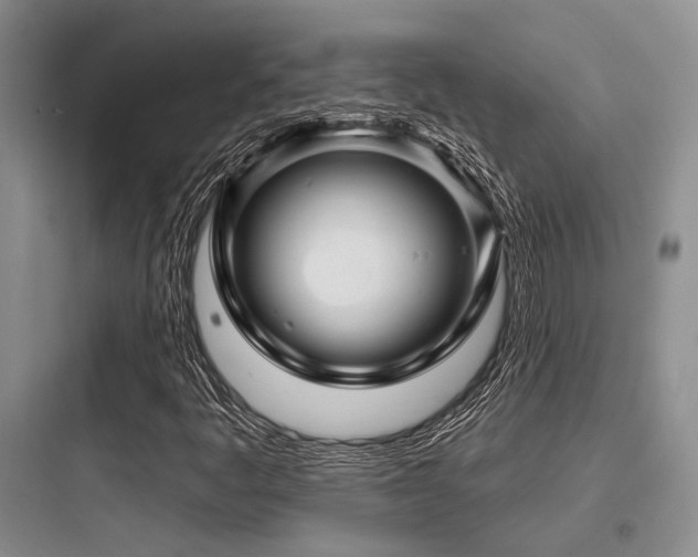 X0000097991445200803241330