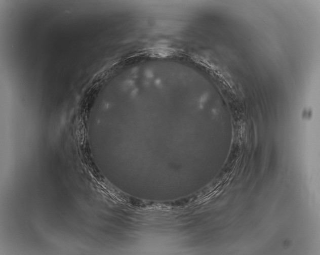 X0000097991446200803241330