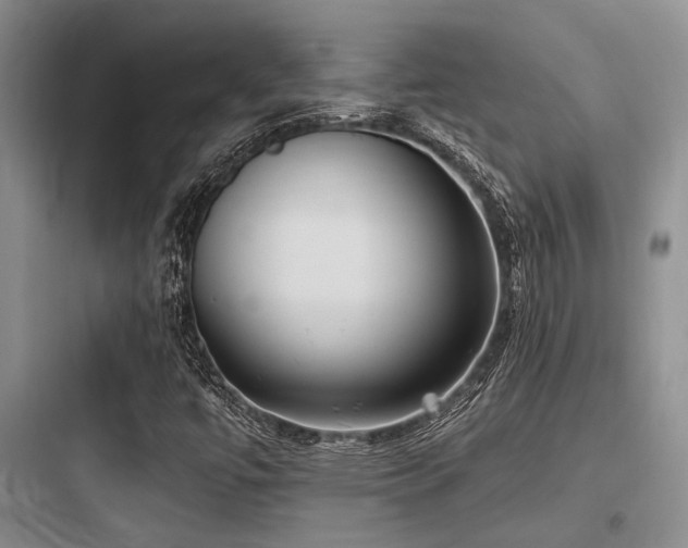 X0000097991447200803241330