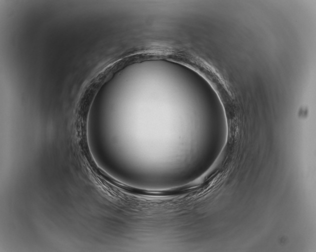 X0000097991448200803241330