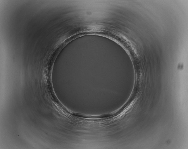X0000097991449200803241330