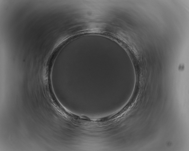 X0000097991450200803241330
