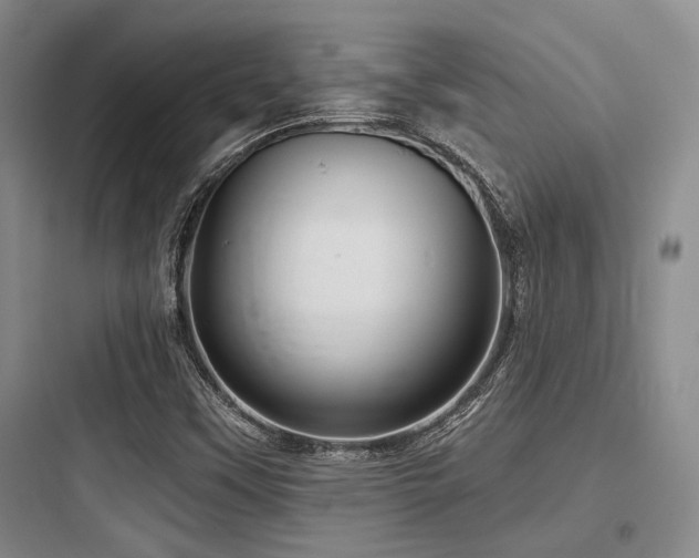 X0000097991451200803241330