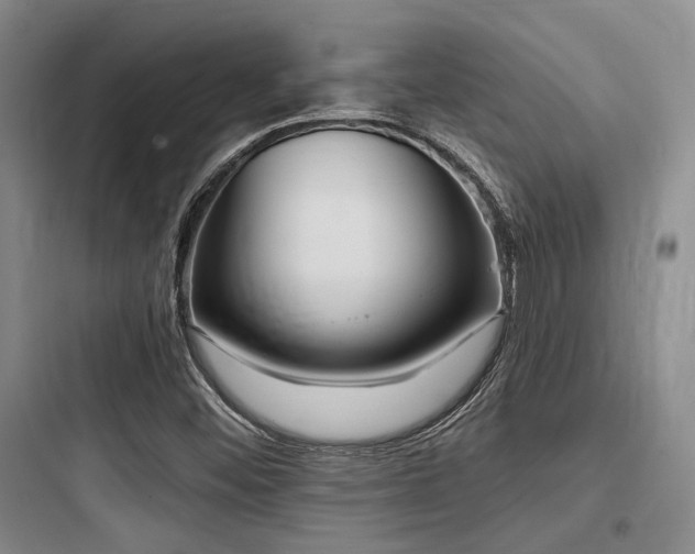 X0000097991452200803241330