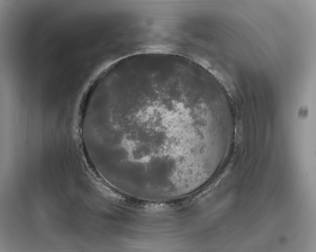 X0000097991454200803241330