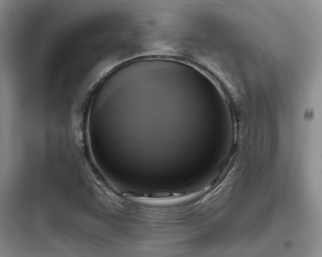 X0000097991455200803241330