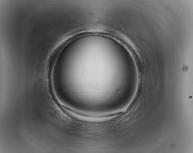 X0000097991456200803241330
