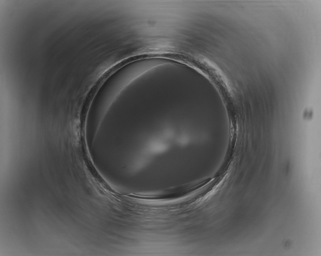 X0000097991457200803241330