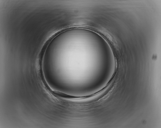 X0000097991458200803241330