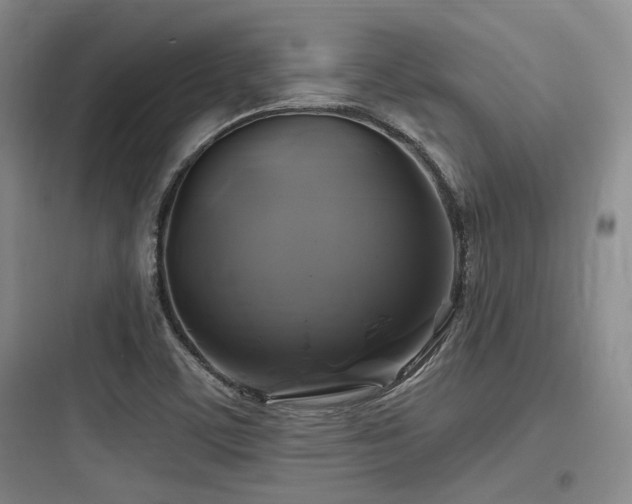 X0000097991459200803241330