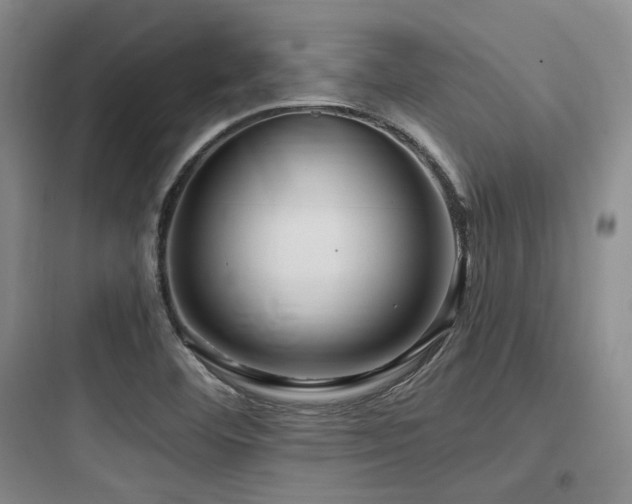 X0000097991460200803241330