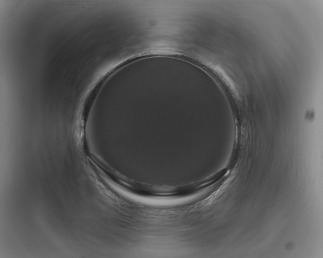 X0000097991461200803241330