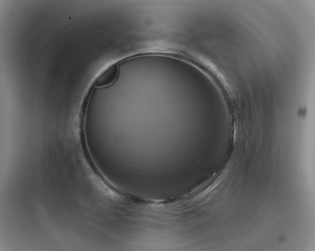 X0000097991463200803241330