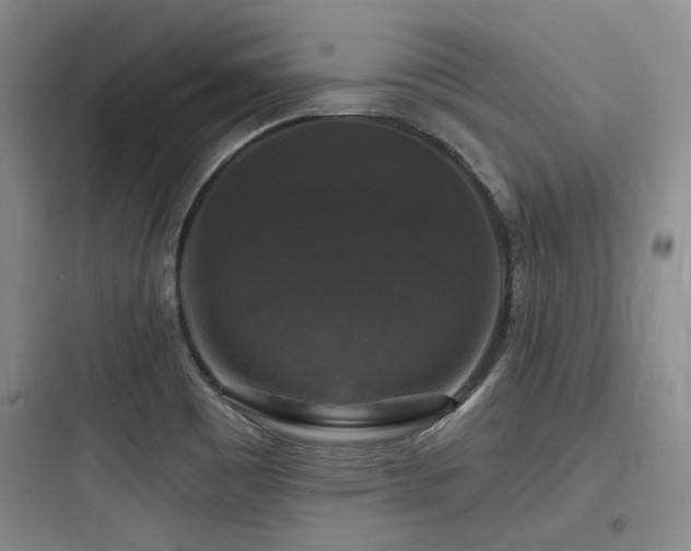 X0000097991465200803241330