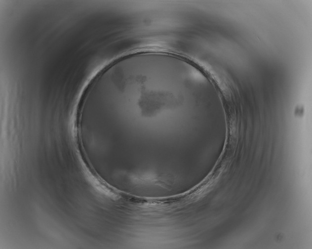 X0000097991466200803241330