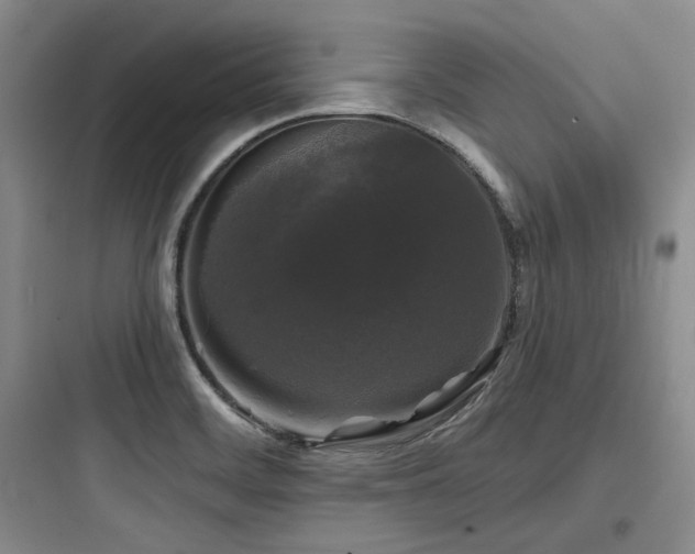 X0000097991468200803241330