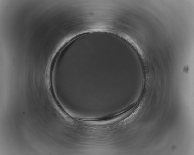 X0000097991469200803241330