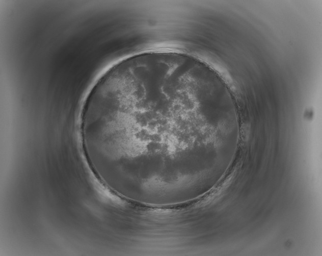 X0000097991470200803241330