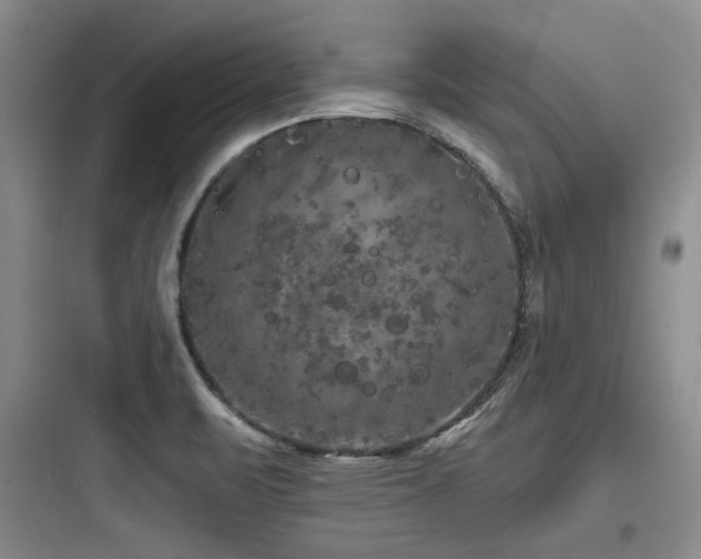 X0000097991471200803241330