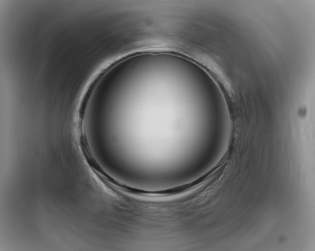 X0000097991472200803241330