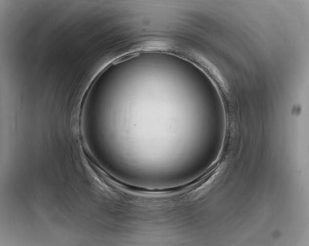 X0000097991473200803241330