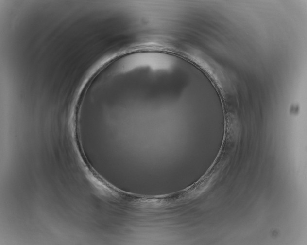 X0000097991474200803241330