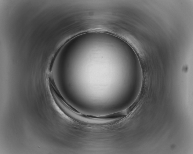 X0000097991476200803241330
