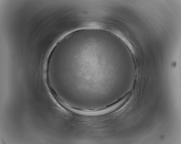 X0000097991477200803241330