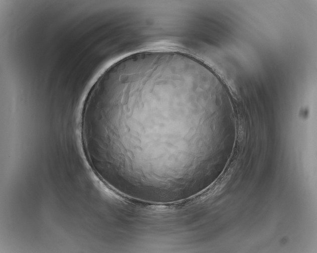 X0000097991478200803241330