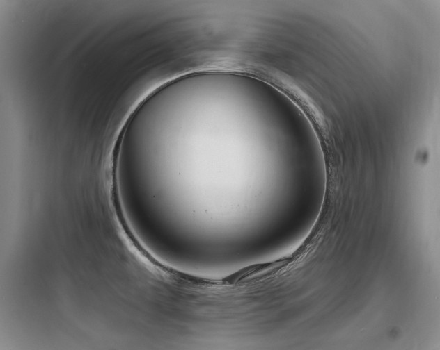 X0000097991479200803241330