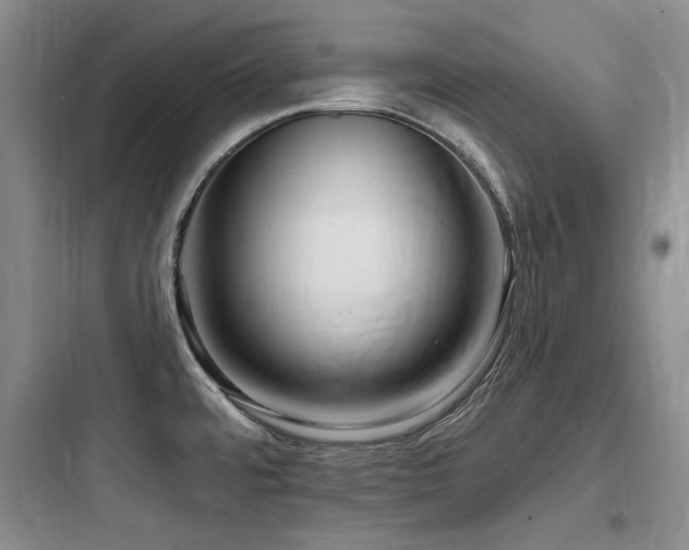X0000097991480200803241330