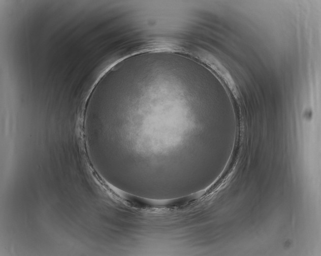 X0000097991481200803241330