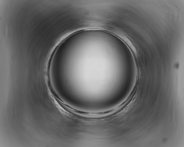 X0000097991485200803241330