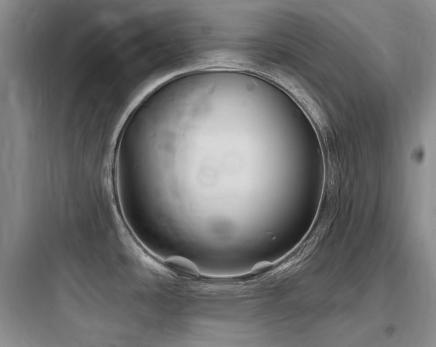 X0000097991486200803241330