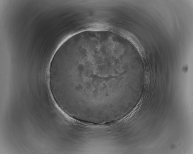 X0000097991487200803241330